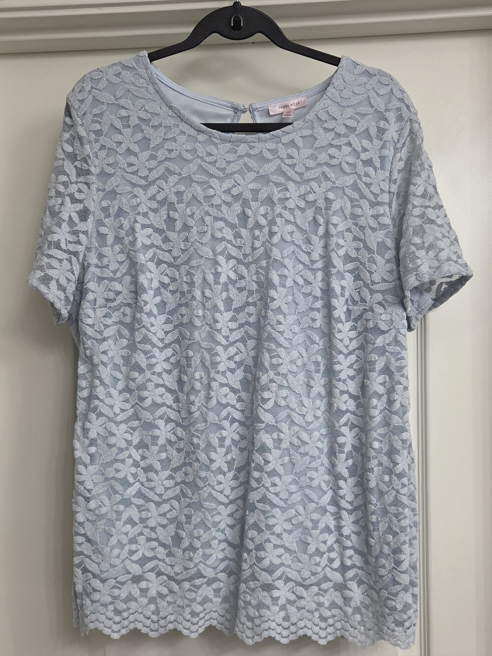 Light Blue Floral Lace Short-Sleeve Blouse